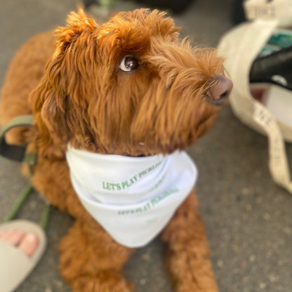 Dog Bandanna